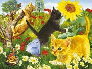 Ravensburger