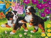Ravensburger