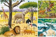 Ravensburger