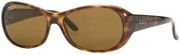 Ray Ban RB4061