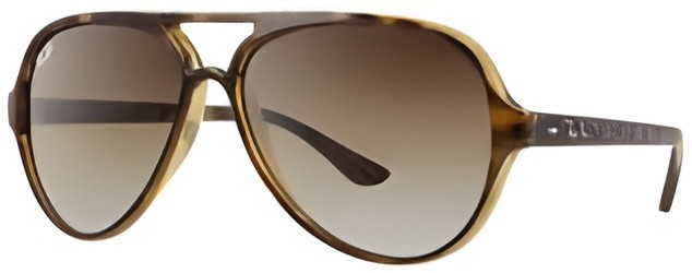 Ray Ban RB 4125 Cats 5000 Ray Ban RB 4125 Cats 5000