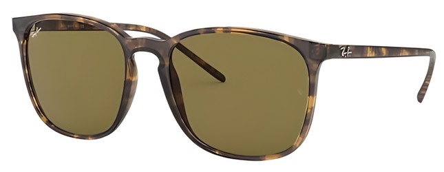 Ray Ban RB4387 Ray Ban RB4387