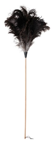 Redecker Straußenwedel 110 cm (468803) Redecker Straußenwedel 110 cm (468803)