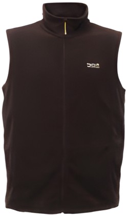 Regatta