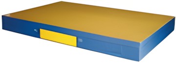 Reivo