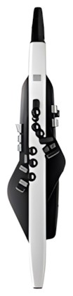 Roland Aerophone AE-20