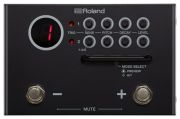 Roland TM-1