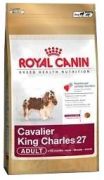 Royal Canin Cavalier King Charles Adult 1,5 kg Royal Canin Cavalier King Charles Adult 1,5 kg