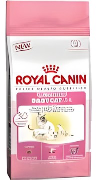 Royal
