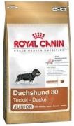 Royal Canin Dachshund Junior 1,5 kg Royal Canin Dachshund Junior 1,5 kg