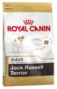Royal