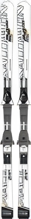 Salomon