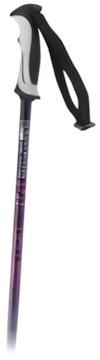 Salomon