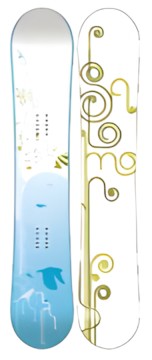 Salomon Lotus