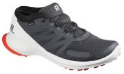 Salomon Sense Flow GTX