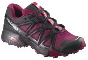 Salomon