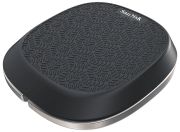 Sandisk
