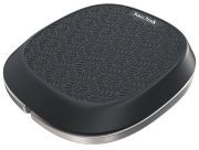 Sandisk