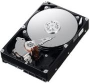 Samsung SpinPoint F1 1TB (HD103UJ)