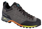 Scarpa