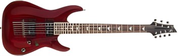 Schecter
