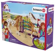 Schleich