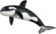 Schleich