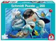 Schmidt Spiele Unterwasser-Freunde