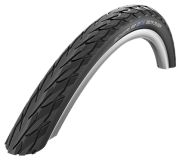 Schwalbe