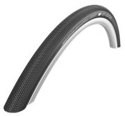 Schwalbe