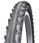 Schwalbe