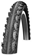 Schwalbe