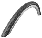 Schwalbe