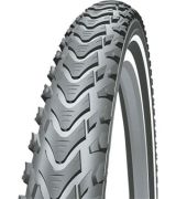 Schwalbe