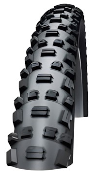 Schwalbe