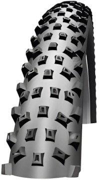 Schwalbe