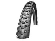 Schwalbe