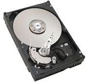 Seagate 160GB (ST3160021A)
