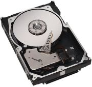 Seagate