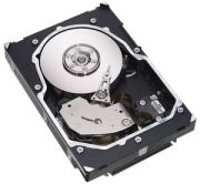 Seagate