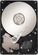 Seagate