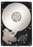 Seagate Barracuda 7200.10 500GB (ST3500630A)