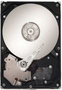 Seagate