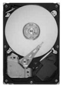 Seagate Barracuda 250GB (ST250DM000)