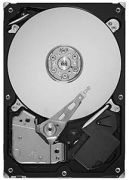 Seagate Barracuda 500GB (ST500DM002)