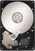 Seagate Barracuda 7200.11 500GB (ST3500320AS)