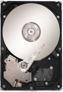 Seagate Barracuda 7200.12 160GB (ST3160318AS)