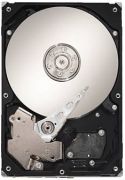 Seagate Barracuda LP 5900.12 1TB (ST31000520AS)