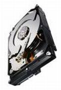 Seagate Constellation CS 7200 1TB (ST1000NC001)