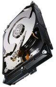 Seagate Constellation CS 7200 3TB (ST3000NC000)